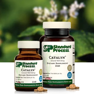 Screenshot 2025-12-11 at 3.30.49 PM