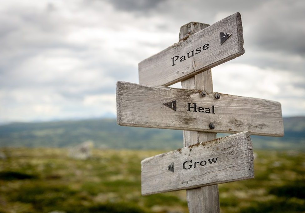 This is a picture of a 3 way wooden road sign which says pause, heal, grow